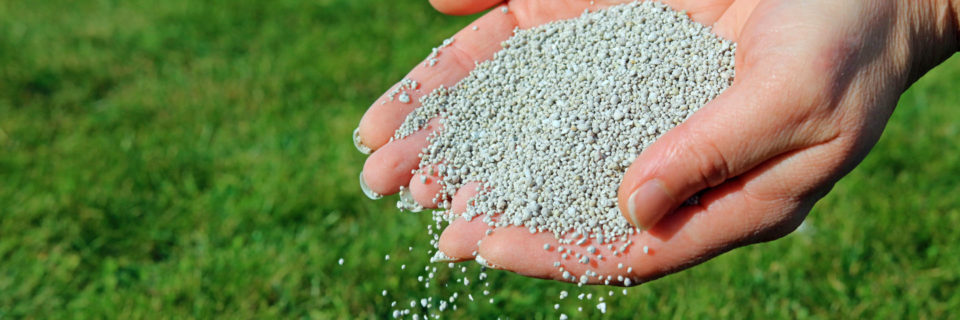 Feed Your Lawn With Our 6 Step Fertilizer and Weed Control Program