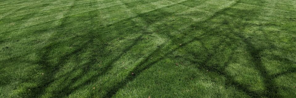 stripes_in_lawn