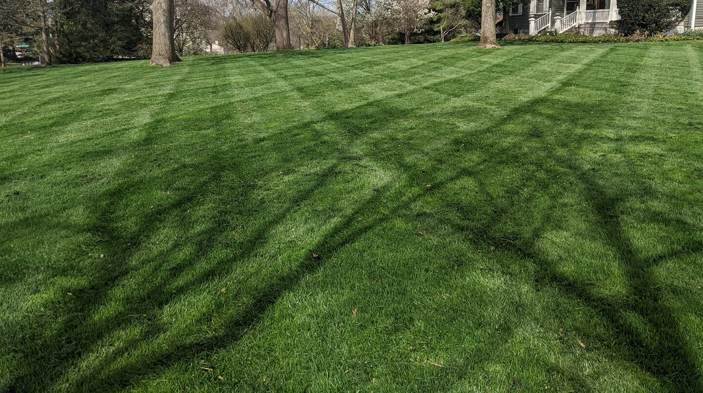 stripes_in_lawn